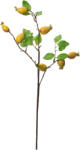 Clayre & Eef Crenguta fructe padure galbene verzi 10x8x50 cm (6PL0390Y)