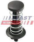 FAST Amortizor capota FAST FT00220 (FT00220)