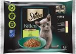 Sheba Kitten teljes értékű nedves eledel kölyökmacskáknak vegyes választék 4 x 85 g (340 g) - ecofamily