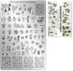 Moyra Körömnyomda lemez NO. 105 Urban Gardening