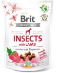 Brit Crunchy Cracker Insects Bárány és Málna (200 g)