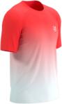 Compressport Performance Ss Tshirt M (atsm4923090)