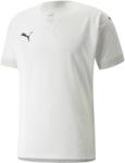PUMA Team Final Jersey (70501604)