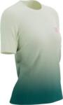 Compressport Performance Ss Tshirt W (atsw4930042)