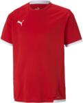 PUMA Team Liga Jersey Jr (70492501)