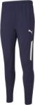PUMA TEAMLIGA TRAINING PANTS PRO Albastru închis, Alb M (65733206)