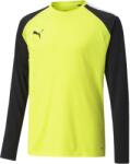 PUMA Teamglory Jersey (70493942)