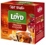 LOYD Gyümölcstea 15x3g Loyd Piramis HOT WINTER narancs-gyömbér (1BUD1020)
