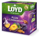 LOYD Gyümölcstea 20x2g Loyd Piramis szilva-fahéj (1BUD1019)