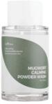 ISNTREE Mugwort Calming Powder Wash