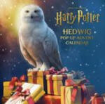 Titan Books Harry Potter: Hedwig Pop-up Advent Calendar | Matthew Reinhart