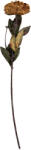 Clayre & Eef Floare artificiala verde galbena 10x10x65 cm (6PL0405DY)
