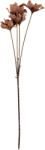 Clayre & Eef Floare artificiala maro 8x5x60 cm (6PL0403DCH)