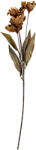 Clayre & Eef Floare artificiala verde bej 8x5x60 cm (6PL0403CR)