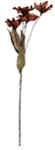 Clayre & Eef Floare artificiala verde portocalie 8x5x60 cm (6PL0403O)