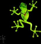 Fa-Time Mókás béka falióra (Bko_01)