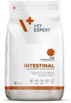 VetExpert Intestinal Cat 2 kg