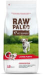 VetExpert RAW Paleo Large Puppy Marha 12 kg