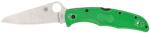 Spyderco PACIFIC SALT 2 GREEN LC200N PLAIN C91FPGR2 EDC Zsebkés (PR-C200458610)