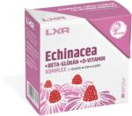 LXR Echinacea Komplex 60x