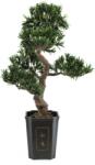 EUROPALMS Bonsai Podocarpus, artificial plant, 80cm (82600116)