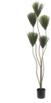  EUROPALMS Papyrus, artificial plant, 130cm (82600235)