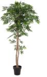  EUROPALMS Ficus longifolia, artificial plant, 165cm (82506350)