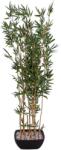  EUROPALMS Bamboo in bowl, artificial, 150cm (82509262)