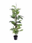  EUROPALMS Dieffenbachia, artificial, 120cm (82508306)