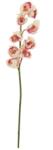  EUROPALMS Cymbidium branch, artificial, creme-pink, 90cm (82530311)