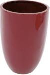 Europalms LEICHTSIN CUP-69, shiny-red (83011818)
