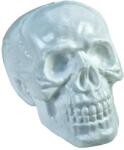 Europalms Halloween Skull, 31x22x22cm (83314669)