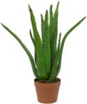  EUROPALMS Aloe Vera Plant, artificial plant, 63cm (82809112)