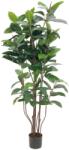  EUROPALMS Rubber Tree, artificial plant, 150cm (82600151)