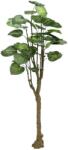  EUROPALMS Pothos tree, artificial plant, 175cm (82600163)