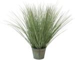  EUROPALMS Ornamental grass, artificial, 65cm (82600145)