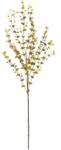  EUROPALMS Eucalyptus spray, artificial, yellow-green, 110cm (82505622)