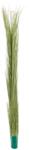  EUROPALMS Reed grass, light green, artificial, 127cm (82505851)