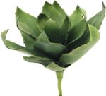  EUROPALMS Agave (EVA), artificial, green, 35cm (82530576)
