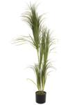  EUROPALMS Dracena bush, artificial, 215cm (82505760)