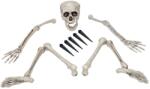 Europalms Halloween Skeleton, multipart (83314675)