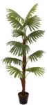  EUROPALMS Fan Palm, artificial plant, 155cm (82509303)