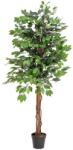  EUROPALMS Ficus Tree Multi Trunk, artificial plant, 150cm (82506125)
