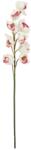  EUROPALMS Cymbidium branch, artificial, white-pink, 90cm (82530312)