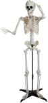 Europalms Halloween Skeleton, standing, 150 cm (83316179)