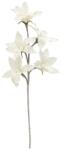  EUROPALMS Clematis Branch (EVA), artificial, white (82531065)