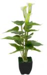  EUROPALMS Mini Calla, artificial plant, white, 43cm (82540347)