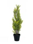  EUROPALMS Cypress, Leyland, artificial plant, 60cm (82606959)