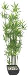  EUROPALMS Bamboo in bowl, artificial, 120cm (82509261)