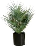  EUROPALMS Fan Palm, artificial plant, 55cm (82509401)